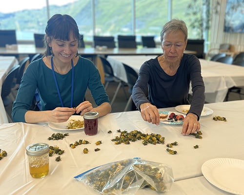 Two women picking dandelions at a table